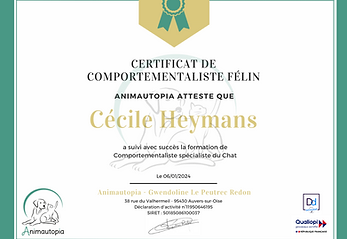 comportementaliste chats geneve